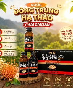Nước Đông Trùng Hạ Thảo Chai Daesan