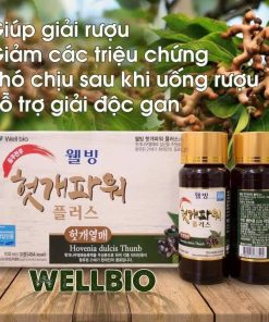 Nước Giải Rượu Bổ Gan Wellbio Hàn Quốc (100ml/chai)