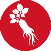 Hồng Sâm Hàn Quốc