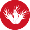 Nhân Sâm Tươi Hàn Quốc